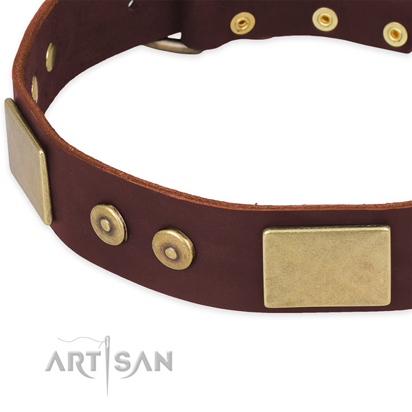 Leather dog collar with studs for comfortable wearing