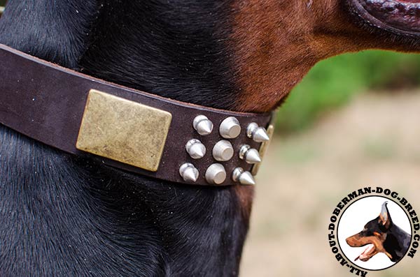 Super strong leather Doberman collar with brass buckle and D-ring