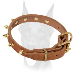 Attractive collar with brass spikes