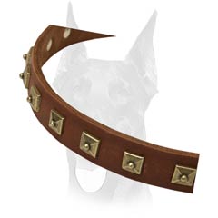 Best studded leather collar