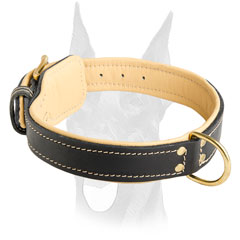 Durable leather padded collar