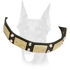 Leather collar with massive plates