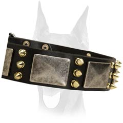 Fancy style leather collar