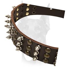 Adjustable leather collar