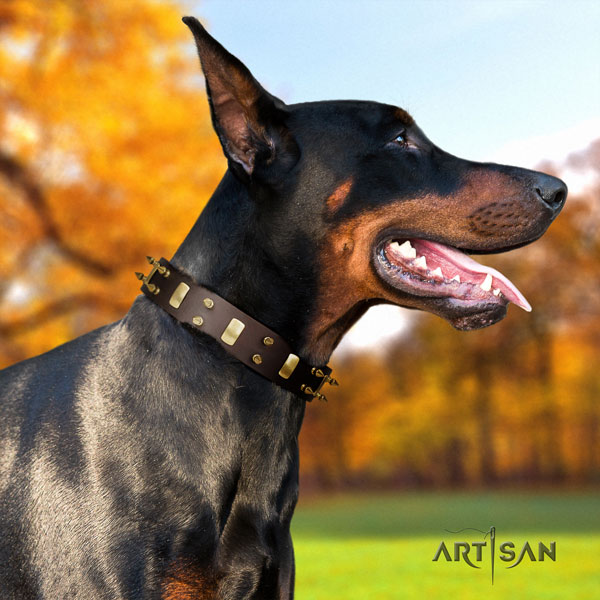 Doberman full grain natural leather dog collar with adornments for your stylish doggie