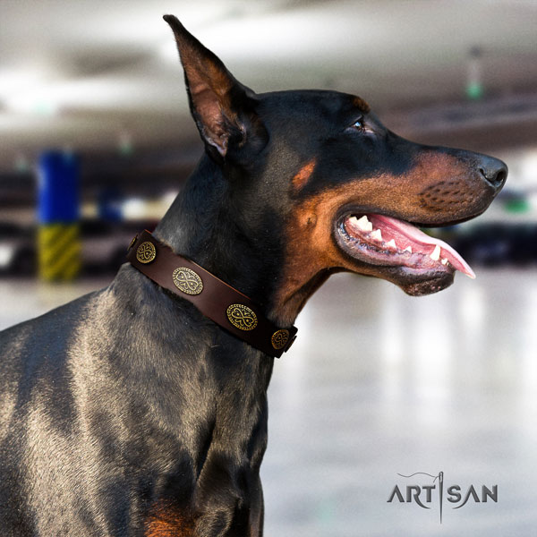 Doberman full grain leather dog collar with studs for your lovely four-legged friend