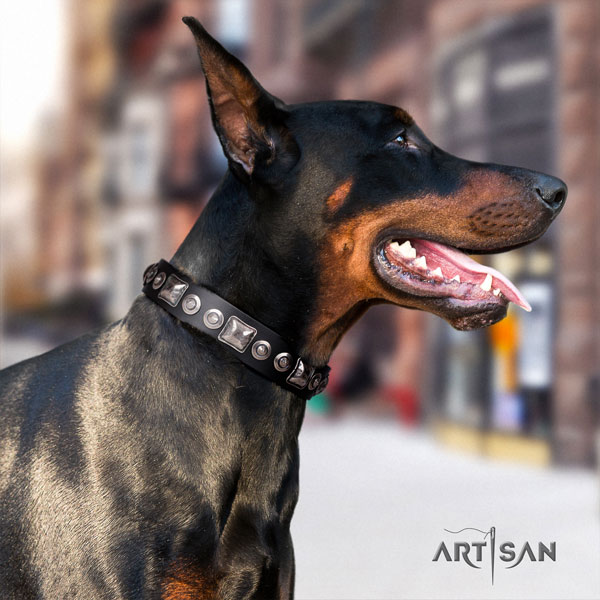 Doberman natural genuine leather dog collar with embellishments for your impressive pet