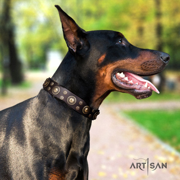 Doberman full grain natural leather dog collar with adornments for your impressive canine