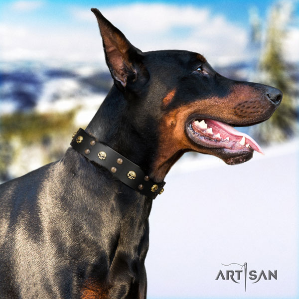 Doberman full grain genuine leather dog collar with studs for your handsome four-legged friend