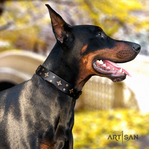 Doberman full grain leather dog collar with adornments for your lovely pet