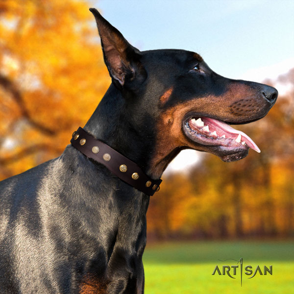 Doberman genuine leather dog collar with adornments for your handsome canine