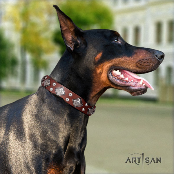 Doberman natural genuine leather dog collar with decorations for your impressive doggie