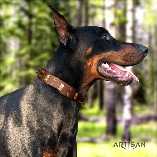 Doberman genuine leather dog collar with studs for your impressive pet