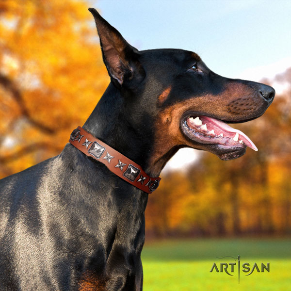 Doberman genuine leather dog collar with adornments for your lovely canine