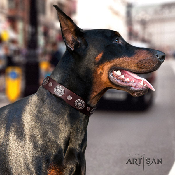 Doberman natural genuine leather dog collar with studs for your beautiful pet