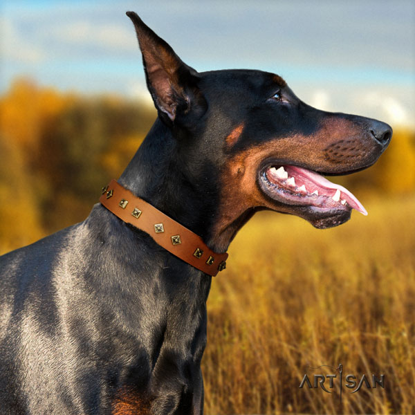 Doberman genuine leather dog collar with embellishments for your attractive pet