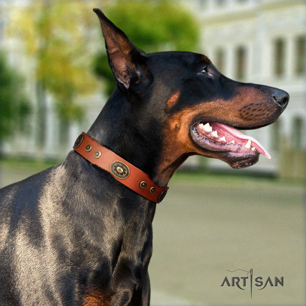 Doberman full grain leather dog collar with decorations for your stylish doggie