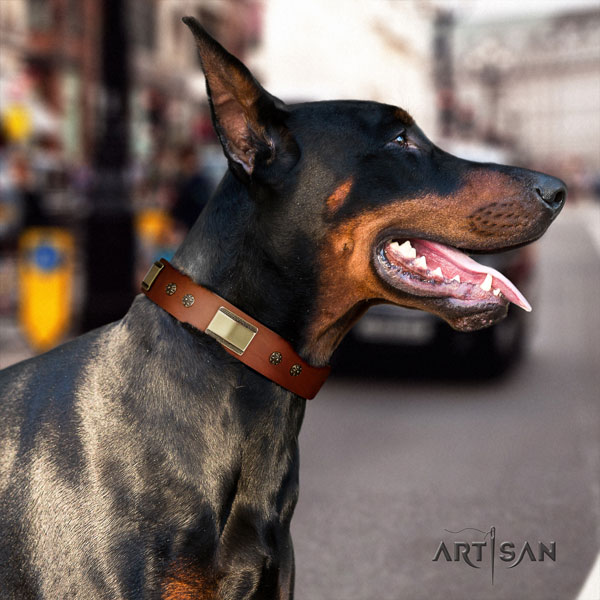 Doberman handcrafted leather collar with decorations for your canine