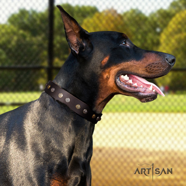 Doberman full grain natural leather dog collar with adornments for your beautiful pet