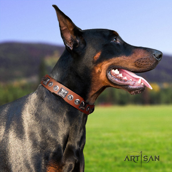 Doberman full grain genuine leather dog collar with adornments for your beautiful canine