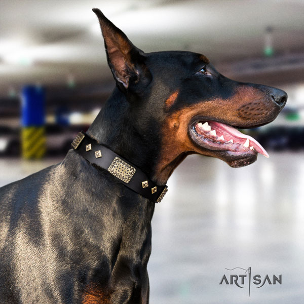 Doberman exquisite full grain leather collar with studs for your four-legged friend