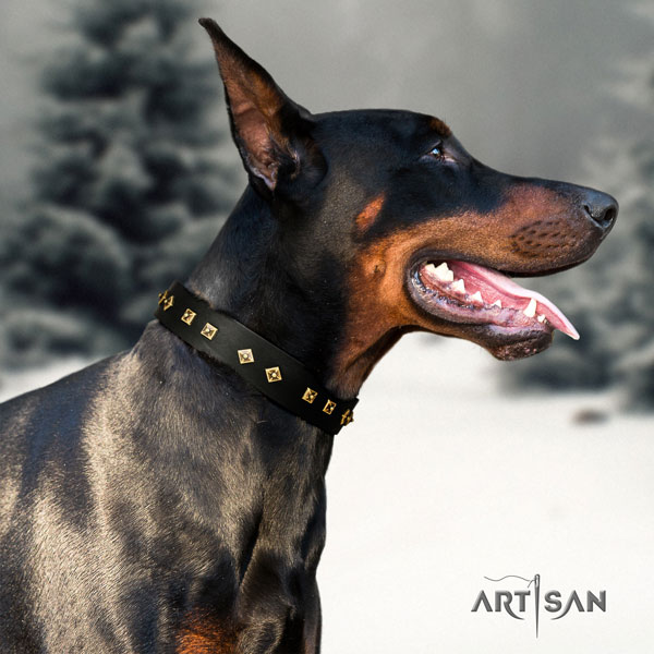 Doberman full grain natural leather dog collar with decorations for your stylish four-legged friend
