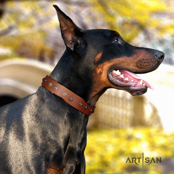Doberman full grain natural leather dog collar with studs for your lovely pet