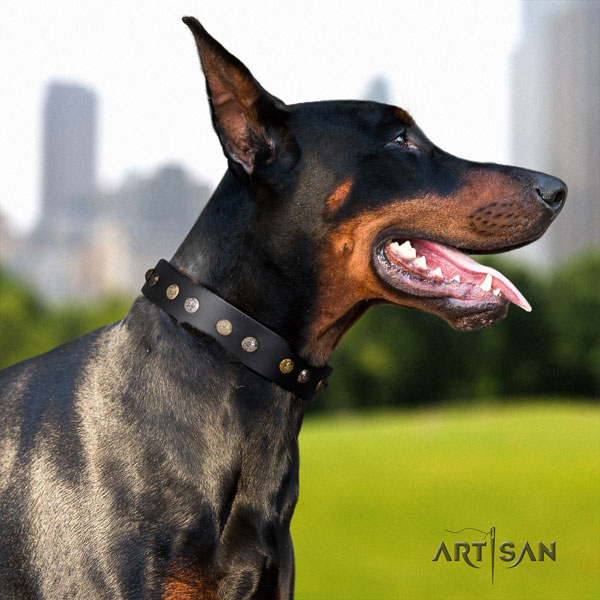 Doberman full grain natural leather dog collar with adornments for your attractive doggie