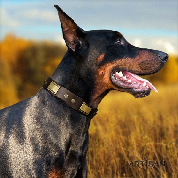 Doberman handmade full grain leather collar with studs for your doggie