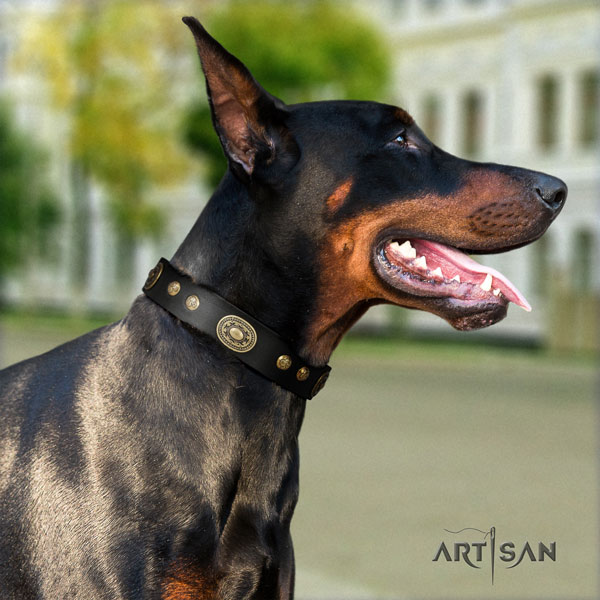 Doberman full grain natural leather dog collar with embellishments for your attractive pet