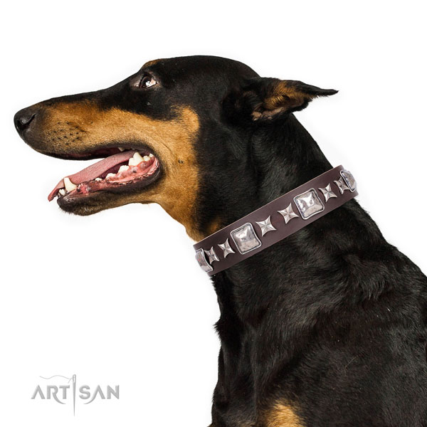 Doberman stylish design full grain natural leather dog collar for daily walking