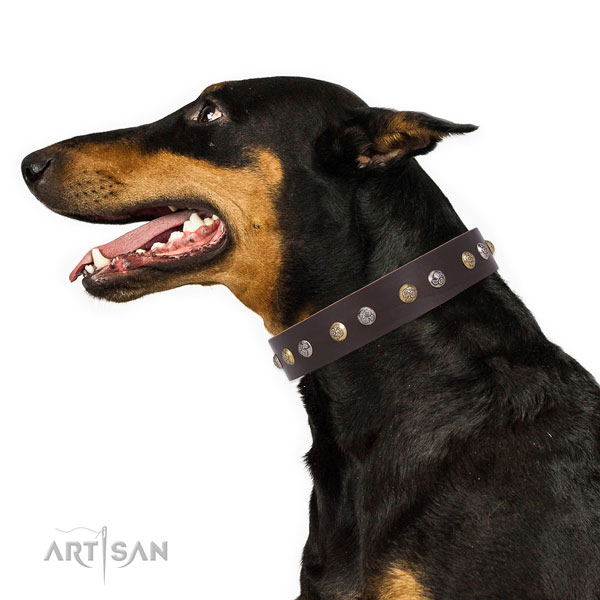 Doberman embellished full grain natural leather dog collar for daily walking