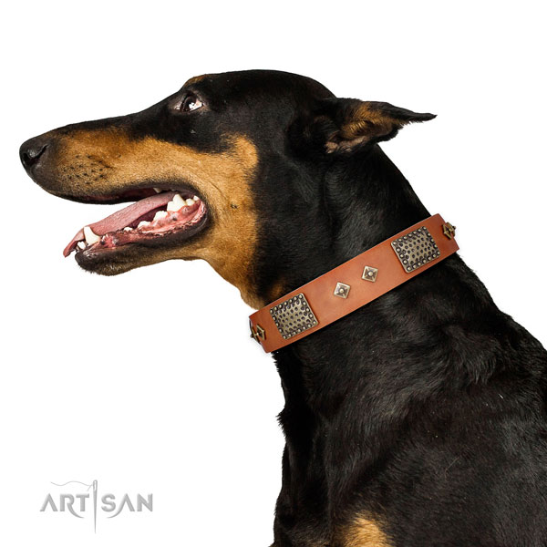 Doberman top quality full grain genuine leather dog collar for walking