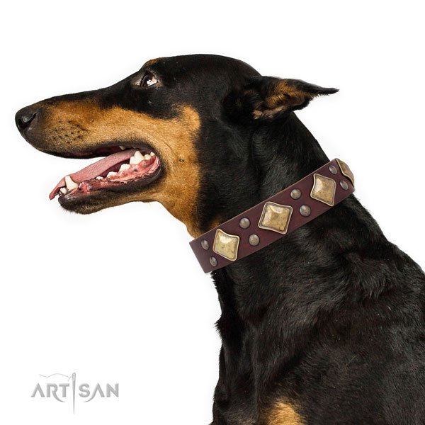 Doberman handcrafted full grain genuine leather dog collar for daily use