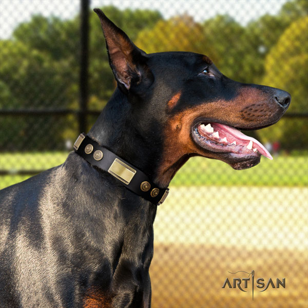 Doberman exquisite full grain natural leather collar with embellishments for your canine