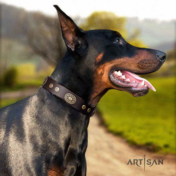 Doberman leather dog collar with adornments for your attractive four-legged friend