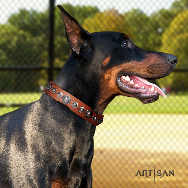 Doberman natural genuine leather dog collar with decorations for your beautiful dog