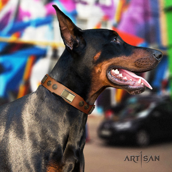 Doberman trendy full grain natural leather collar with embellishments for your dog