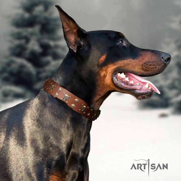 Doberman leather dog collar with embellishments for your impressive canine