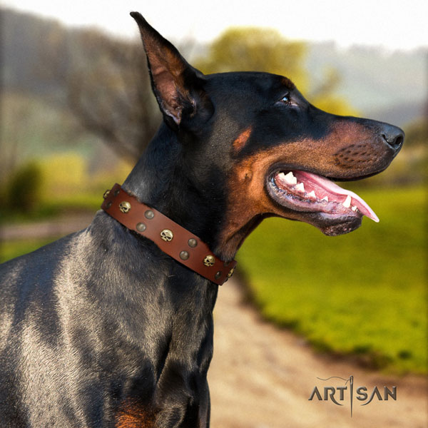 Doberman genuine leather dog collar with studs for your beautiful dog