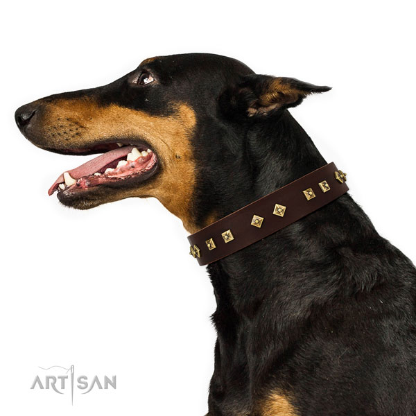 Doberman decorated leather dog collar for stylish walking