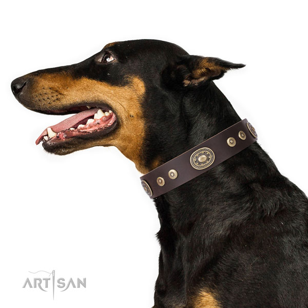 Doberman easy to adjust full grain genuine leather dog collar for comfy wearing