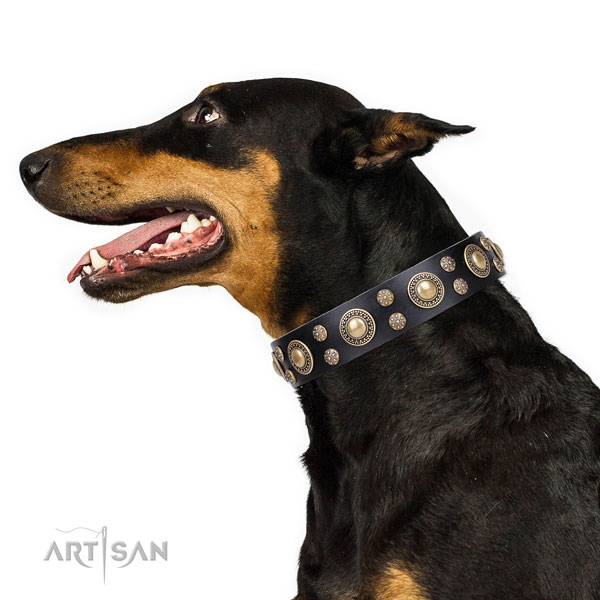 Doberman trendy genuine leather dog collar for handy use