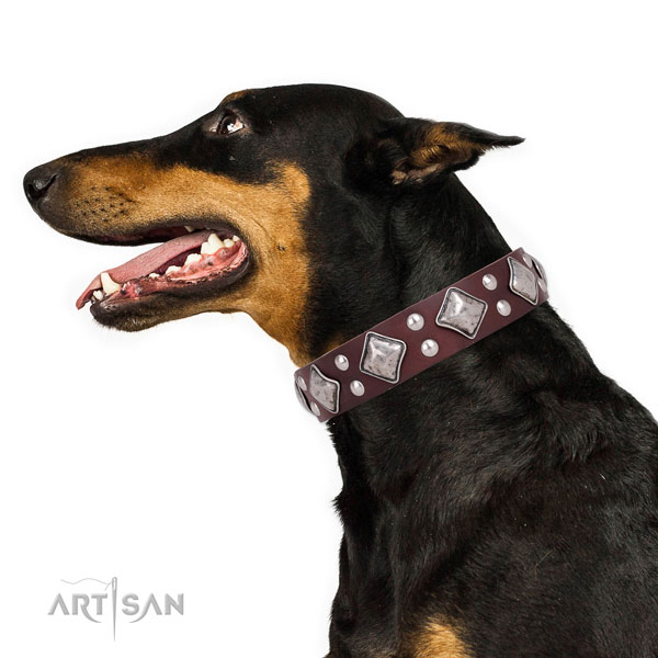 Doberman easy adjustable full grain natural leather dog collar for comfy wearing