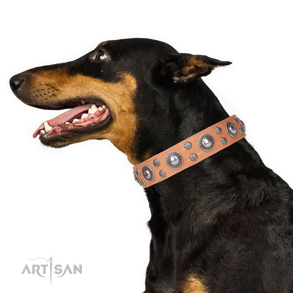 Doberman impressive genuine leather dog collar for stylish walking