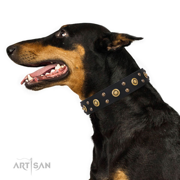 Doberman impressive natural genuine leather dog collar for stylish walking