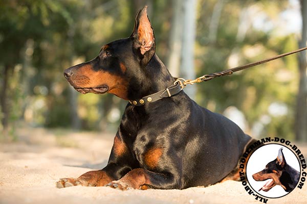 Doberman black leather collar easy-to-adjust studded for quality control