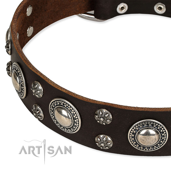 Easy to put on/off leather dog collar with extra sturdy rust-proof fittings