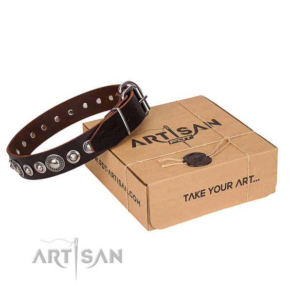 Stylish design full grain natural leather dog collar for walking in style