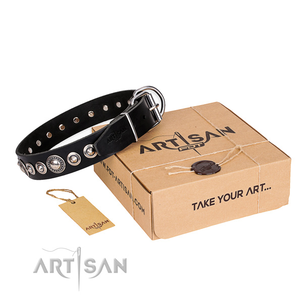Best quality leather dog collar for walking in style